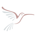 icon-footer